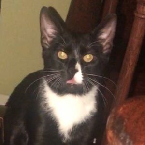 Meet your Posher, Diego